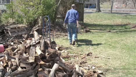 a man walks with a wheelbarrow full of firewood