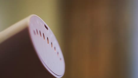 close-up of a pink steam iron