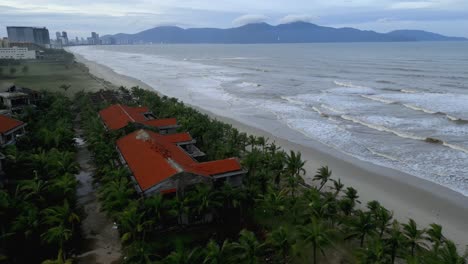 Aerial-of-palm-trees-and-waves-from-the-ocean-hitting-the-sandy-beach