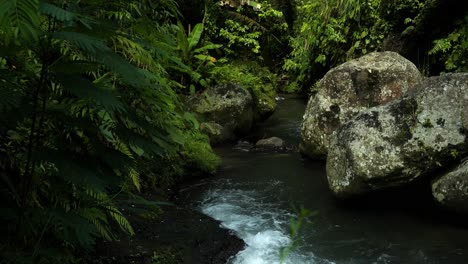 slow motion tilt up shot of a river in the middle of the jungle of bali with view of a small waterfall, the plants and an old stone bridge on an adventurous journey