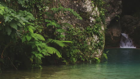 rocky cliffs with exotic foliage in balneario mata de maiz near polo town in dominican republic