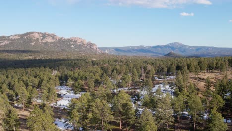 aerial drone view of the pike national forest and long scraggy mountain. forward dolly with left pan. filmed in the rocky mountains of colorado.