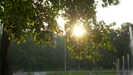 park sunset with people and fountains