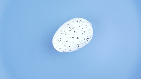 a colored easter egg spins on a plate.