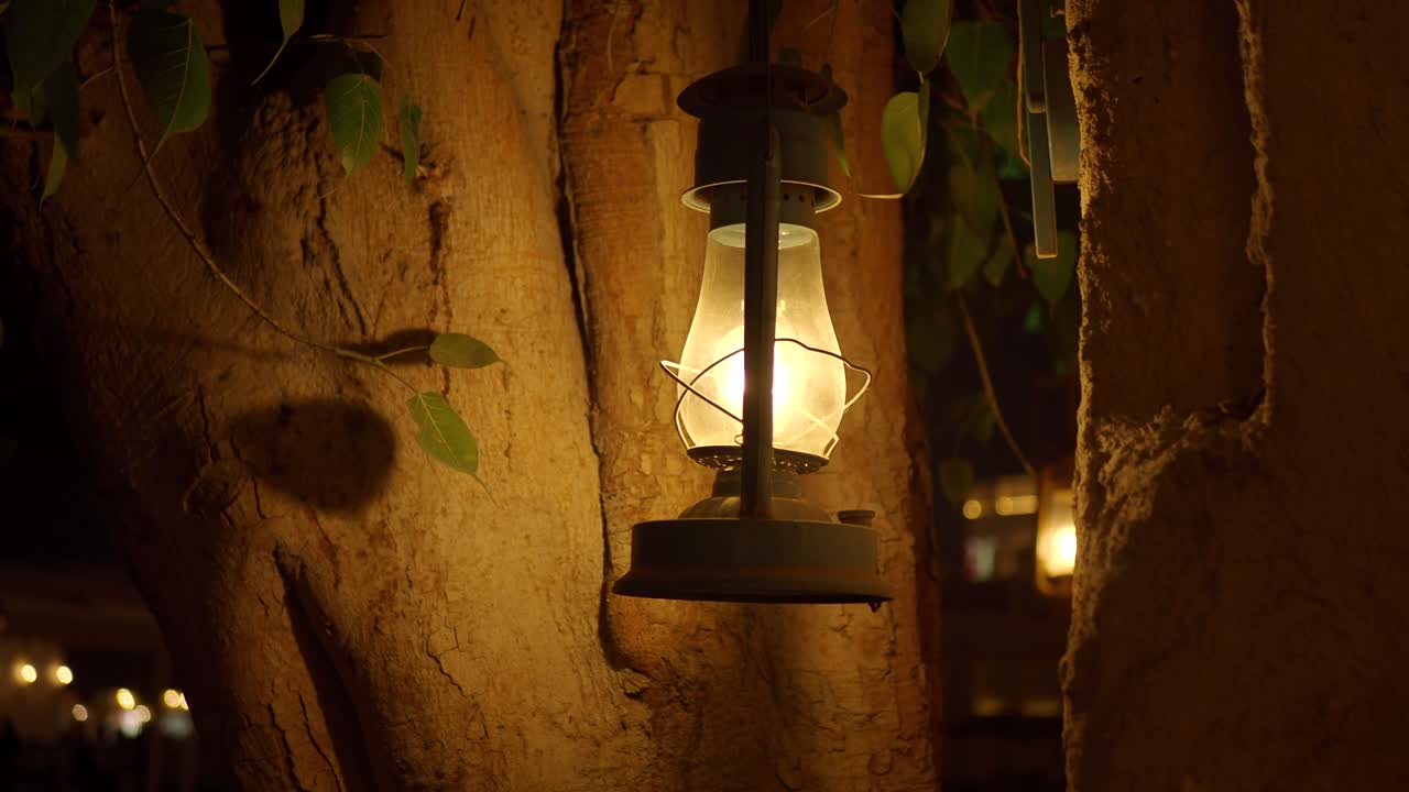 Vintage Lantern Hanging from Tree at Night