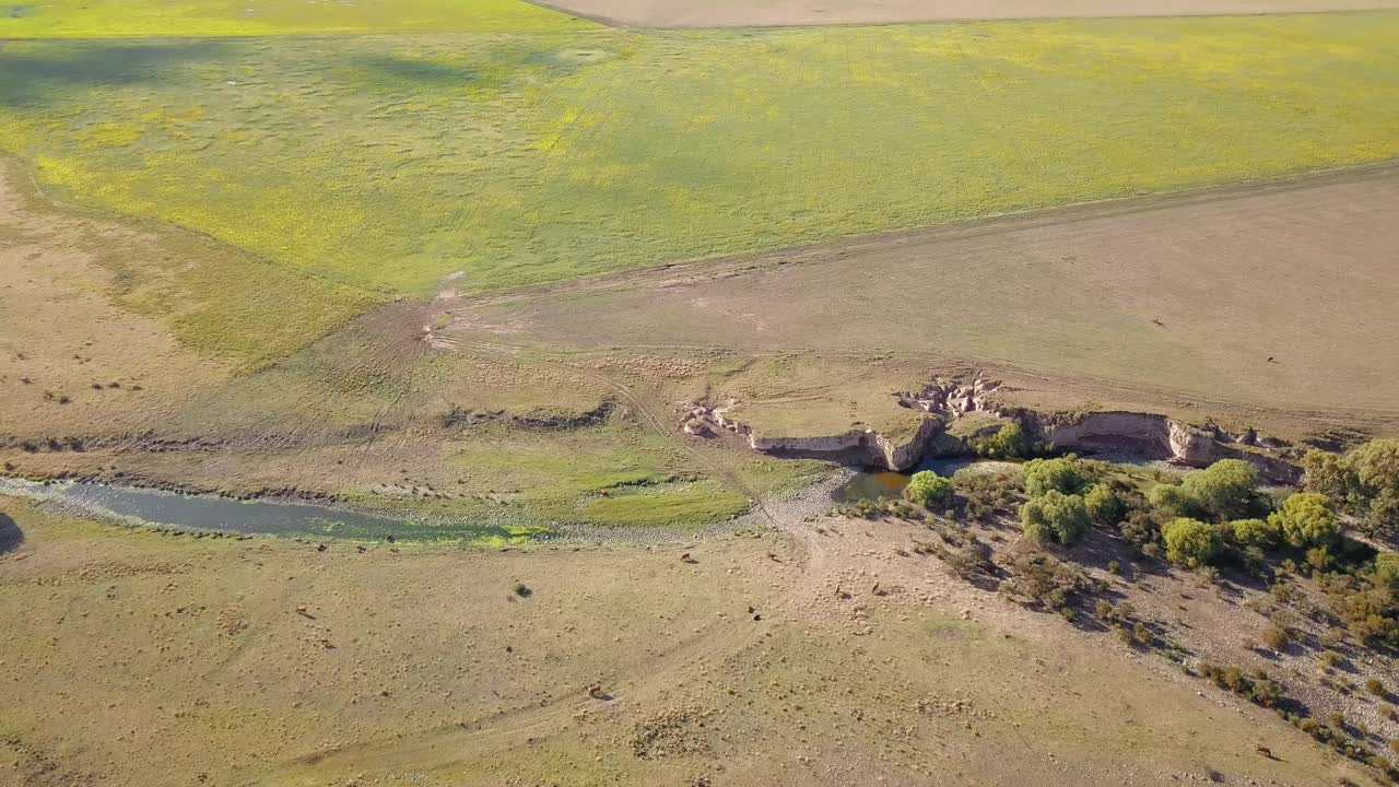 화창한 날 시골 마을의 무성한 들판을 흐르는 개울