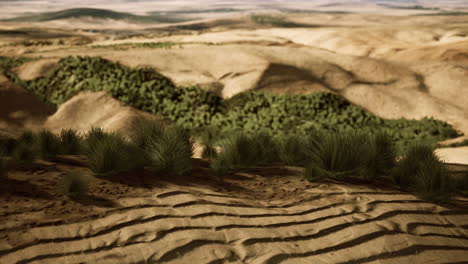 beautiful yellow orange sand dune in desert in middle asia