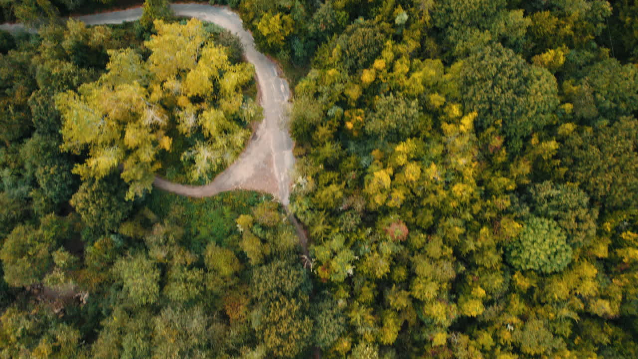 Trail hiking path inside dense tree canopy, multicolor leaves colour nature