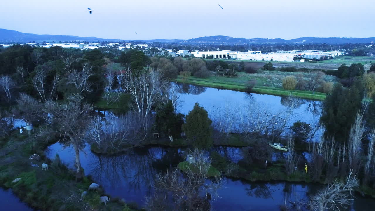 bandada de gaviotas volando para anidar por la noche en una gran masa de agua con extrañas figuras del parque de diversiones que se muestran a continuación