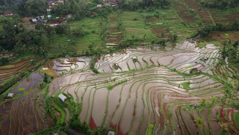 Nubes-Que-Se-Reflejan-En-Los-Arrozales-En-Terrazas-De-Arroz-Jatiluwih,-Bali,-Indonesia