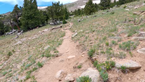 incline hacia arriba el sendero tanglewood que conduce al monte rosalie por encima de la línea de árboles