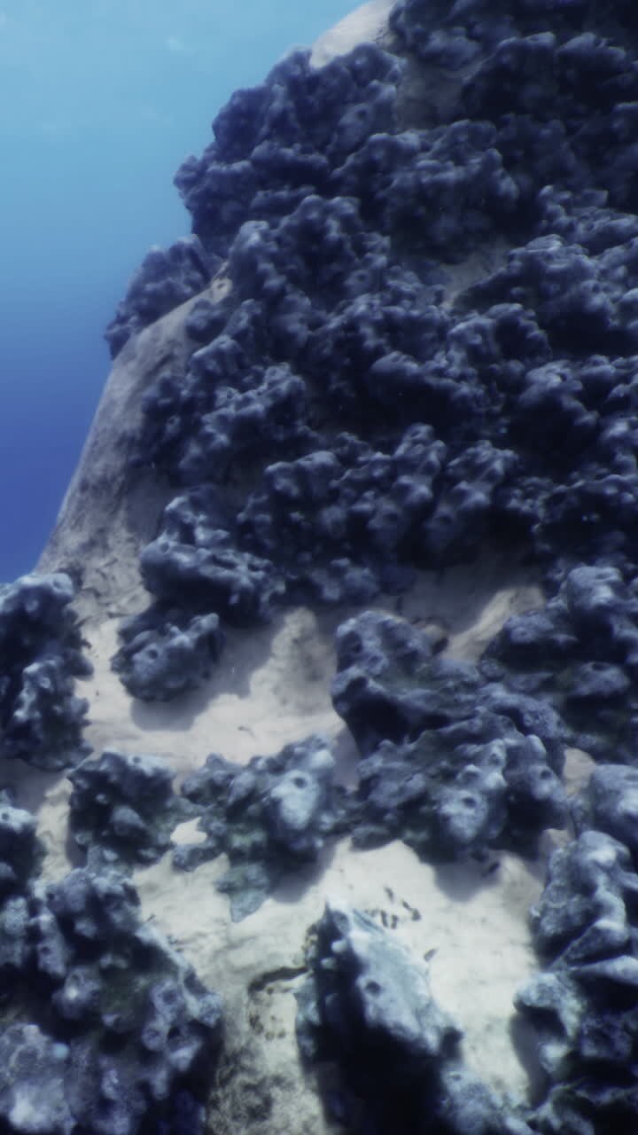 Barriera corallina e formazione rocciosa sottomarina in un limpido ambiente oceanico