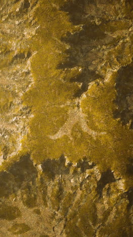 aerial view of a green mountain range