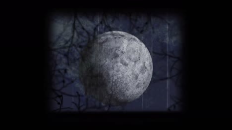 Digital-animation-of-vhs-glitch-effect-against-moon-and-creepy-tree-branches-on-black-background