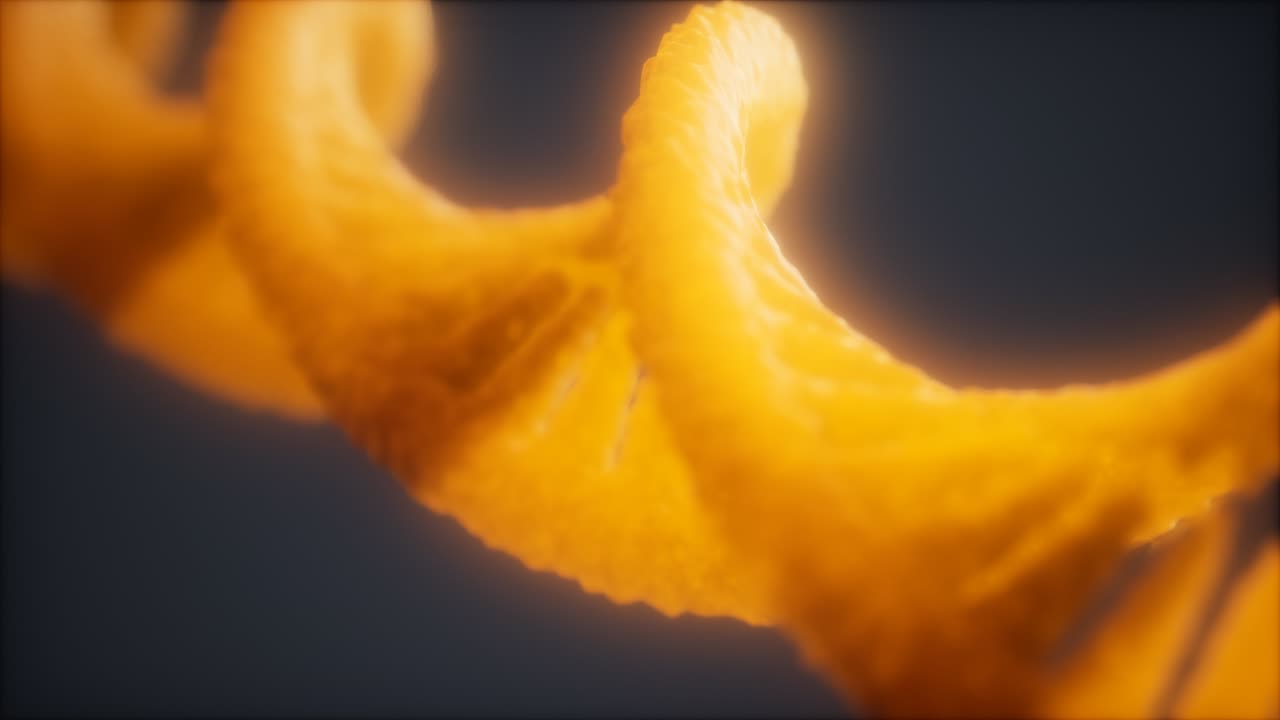 цикличная структура двойной спиральной анимации днк