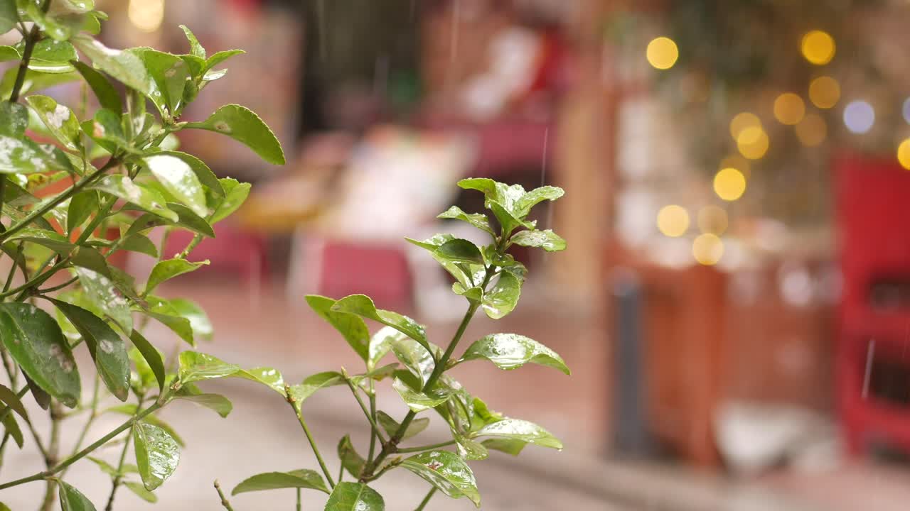 야외 카페 에서 비가 오는 날