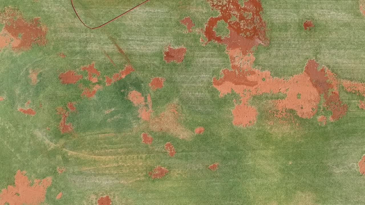 Descending into the grass full of dirt