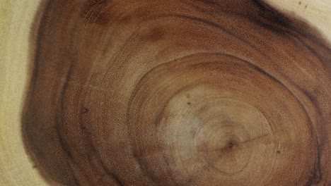 wooden circle stump trunk background from top. saw cross section cut tree wood rotation.