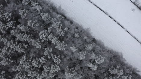 Toma-Aérea-De-Arriba-Hacia-Abajo-De-Tierras-De-Cultivo-Blancas-Y-Nevadas-En-El-Campo-De-Finlandia