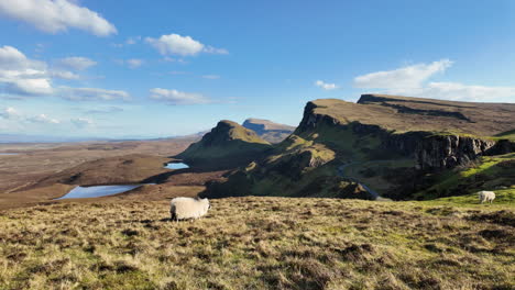 Schafe-Grasen-Auf-Der-Quiraing-Landschaft-Der-Isle-Of-Skye-Unter-Einem-Strahlend-Blauen-Himmel