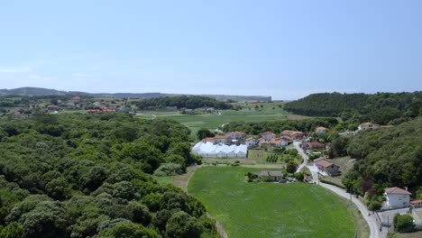 drone flyover a rural area, small community houses surrounded by lush meadows