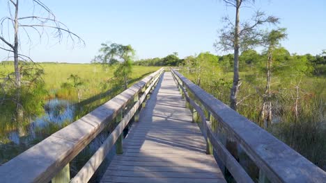 Larga-Pasarela-De-Madera-Sobre-Humedales-Pantanosos-En-El-Parque-Nacional-Everglades-De-Florida