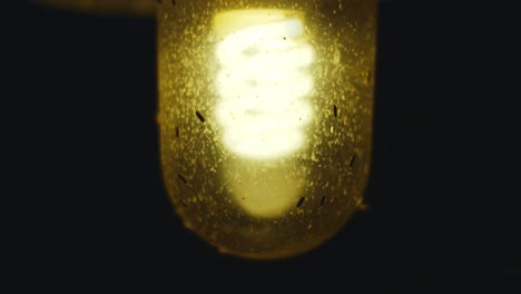 inclínelo hacia arriba para revelar errores que vuelan alrededor de una bombilla de luz amarilla aislada