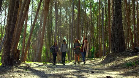 grupo de amigos acampando en el bosque 4k