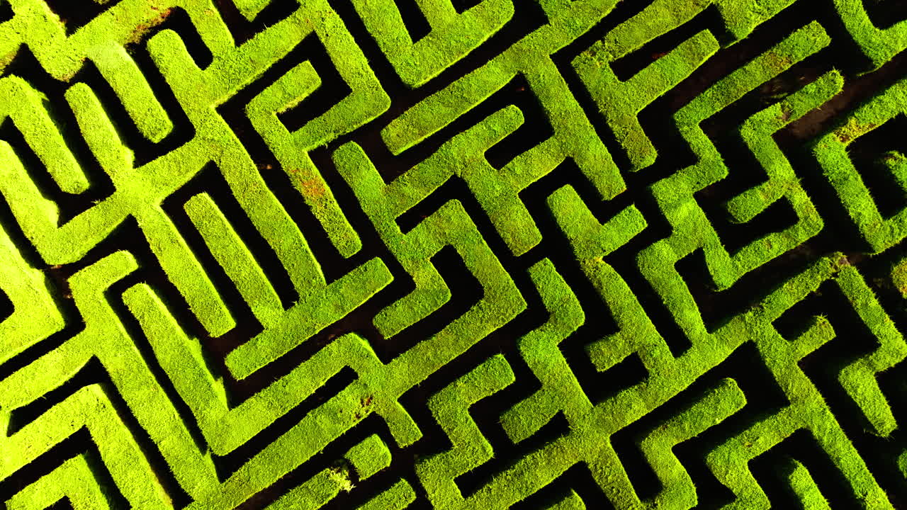 Aerial top down view of a square hedge maze, geometric green pattern, symmetry
