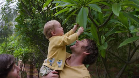 caucasian baby playing with leaves in garden