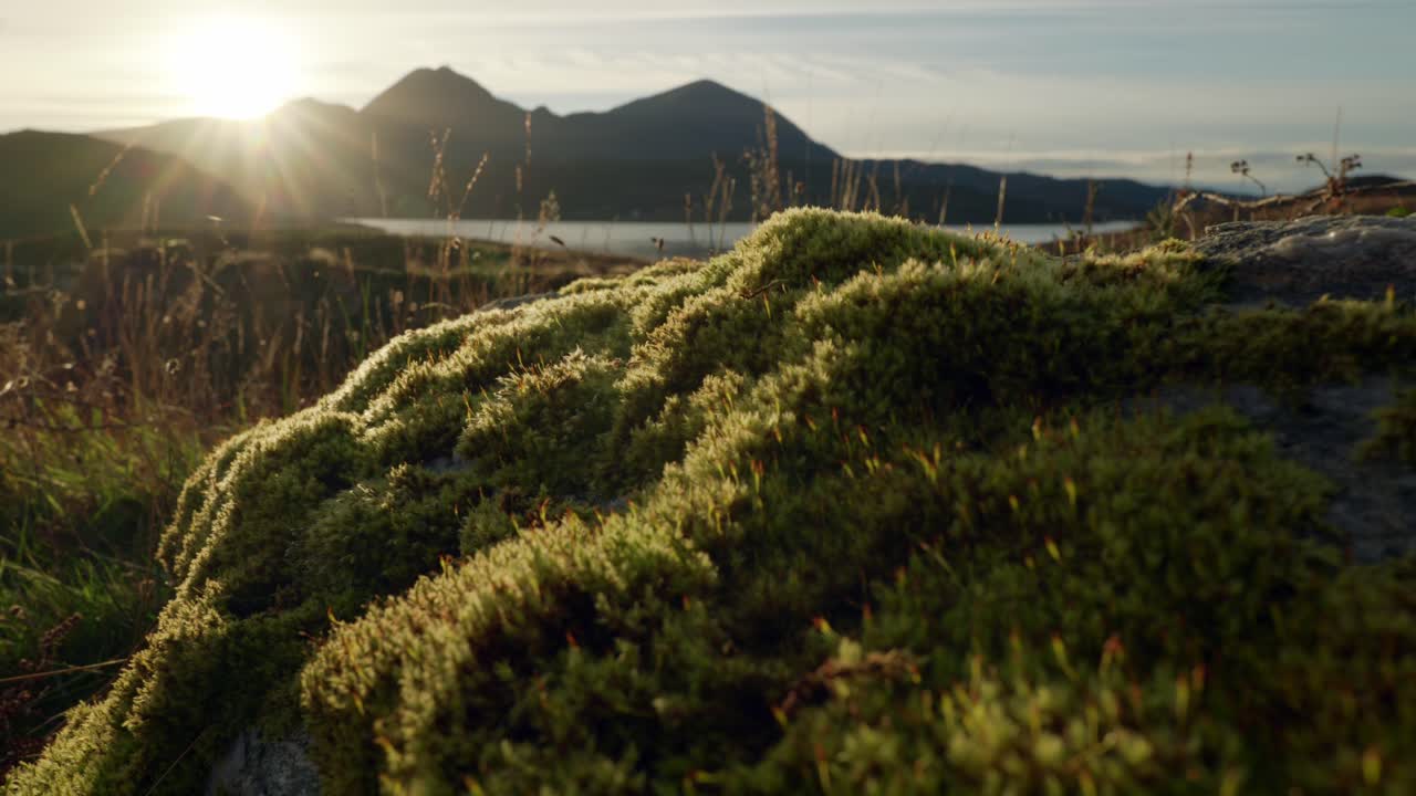 The camera twists to reveal the sun setting behind mountains and the sea in the background as golden light highlights a mossy rock in the foreground