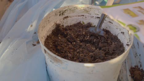 planting seeds in a bucket