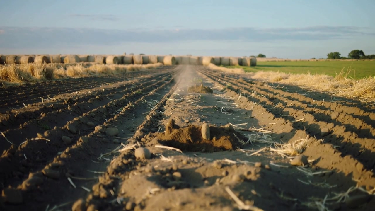 Breeze lifting loose soil and straw from central plowed mound along furrow in field, hay bales