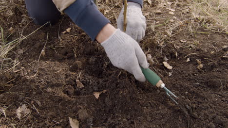 visão aproximada das mãos de um ativista arando a terra ao redor de uma árvore na floresta