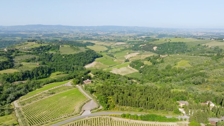 Vista aerea all'indietro su vigneti e natura della campagna toscana in Italia