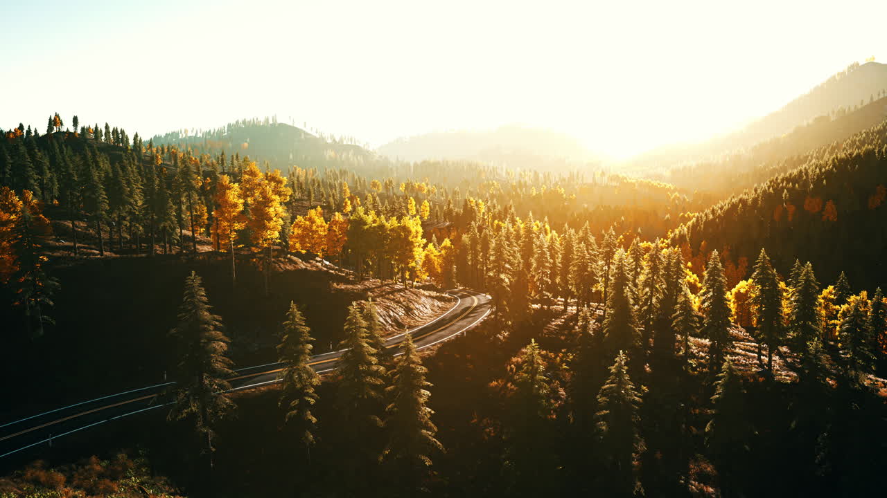 camino panorámico a través del bosque de otoño