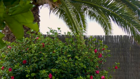 lush green bush with red flowers beneath overhanging palm leaves in the background.