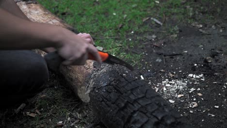 cutting wood with a saw for campfire in transfagarasan, romania