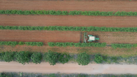 Truck-working-in-a-plum-tree-field