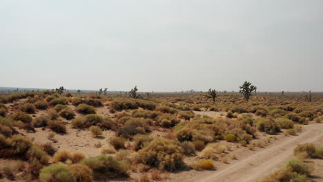 Low-altitude-flight-over-the-Mojave-Desert-landscape-towards-the-flat-horizon-and-over-Joshua-trees