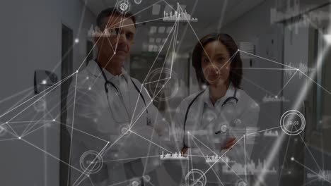 animación de la red de conexiones entre dos médicos diversos