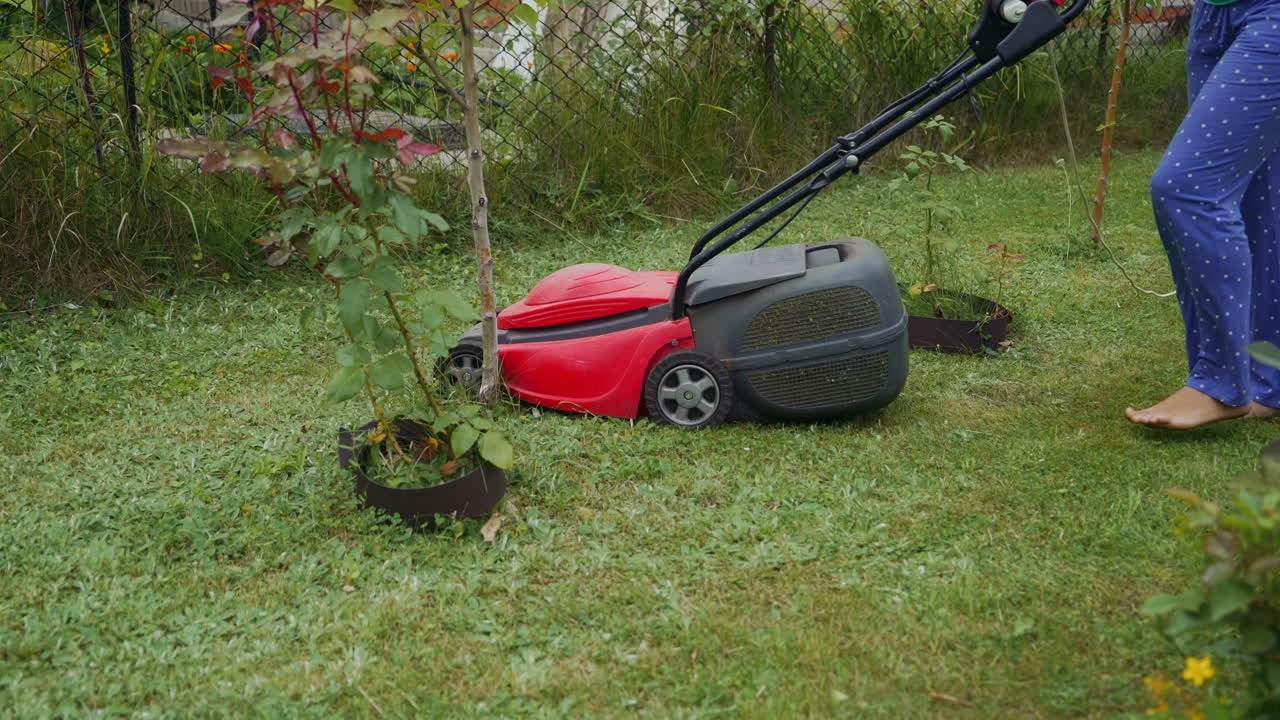 girl is mowing grass by lawn mower around flower pots with roses in the garden in the summer