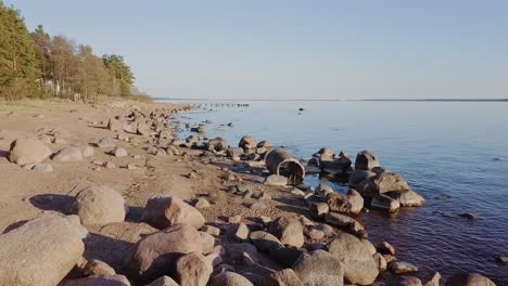 rocky beach shore with many boulders and blue sea nordic nature, naked trees