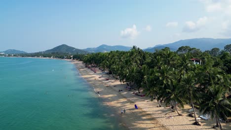 Imágenes-Aéreas-De-La-Playa-De-Mae-Nam,-Koh-Samui,-Tailandia,-Que-Muestran-Aguas-Turquesas,-Costas-Arenosas-Y-Exuberantes-Palmeras-Bajo-Un-Cielo-Despejado.