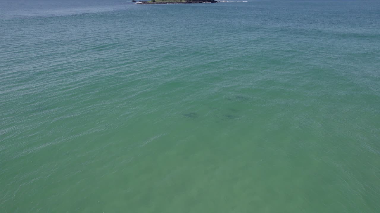 живописный вид на бутылочных дельфинов, плавающих под водой, возле острова кука в новом южном уэльсе, австралия