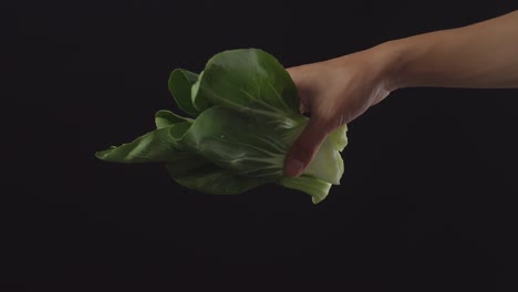 hand holding and tossing bok choy