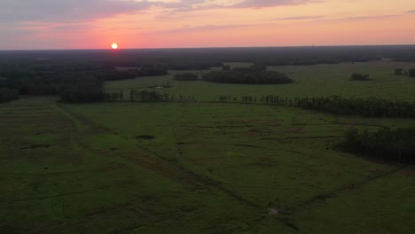 beatiful drone shot of a sunset in the countryside of florida