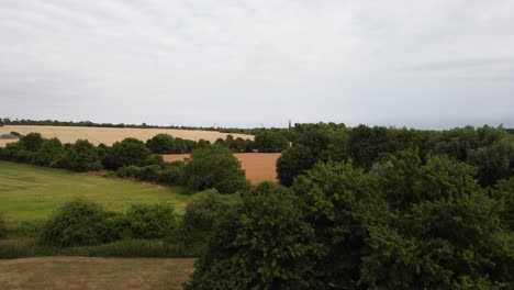 Fields-revealing-from-behind-trees-from-low-to-high-angle-in-Bedfordshire,-England,-Uk-on-a-cloudy-day