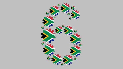 south african number six