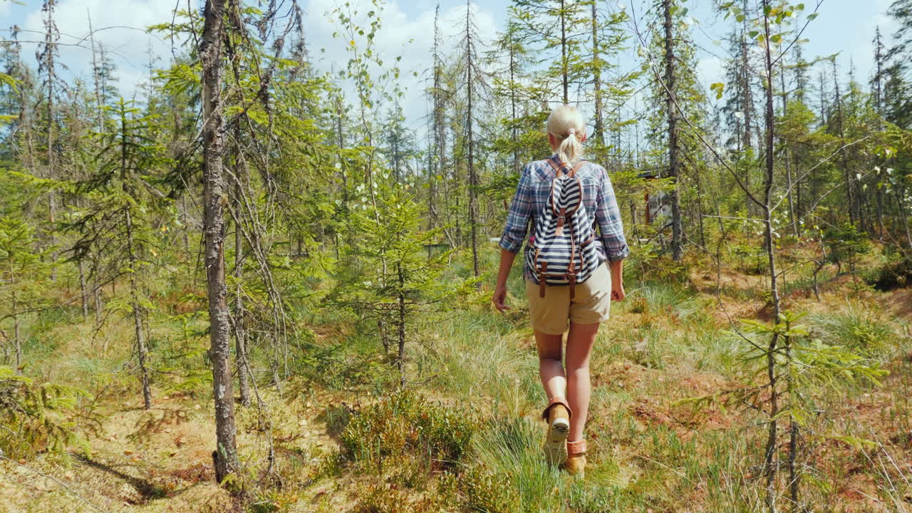 Een vrouw loopt door het moerasland in het bos, van achteren gezien. Gevaarlijke trektocht en het gevoel van verdwalen.